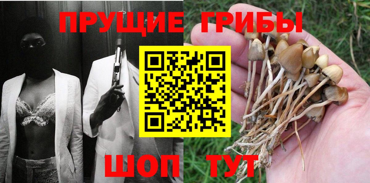 где найти наркотики  Псилоцибиновые грибы Magic Shrooms  Вход с VPN  Зеленокумск 