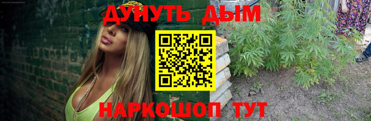 Каннабис конопля Зеленокумск